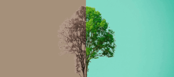 Water Scarcity is the First Signal of a Warming Planet