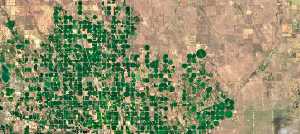 Satellite image of green circular irrigation fields in arid land, symbolizing how water drives growth and transformation, reflecting AI’s expanding resource needs and sustainability narrative.